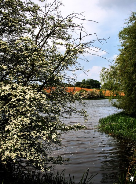 WATERS EDGE
