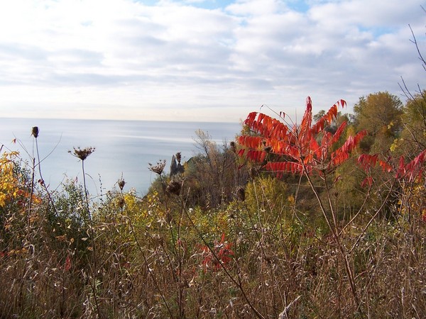 Lake Ontario, Autumn