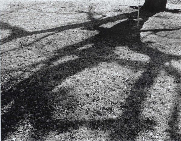 swing in shade
