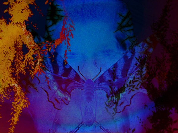 In The Shadows I Linger