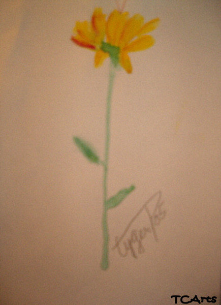Yellow Flower