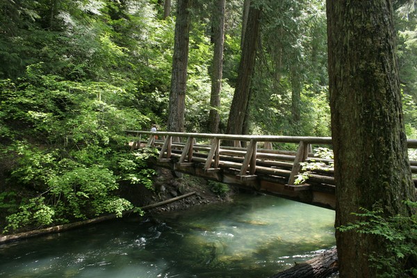 Shades of Green