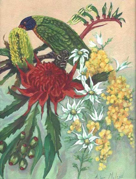 Lorikeet and wildflowers