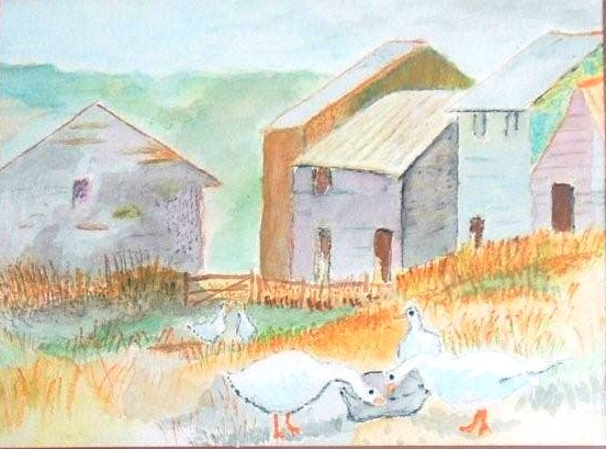 Steve's Cornish Granite Farm