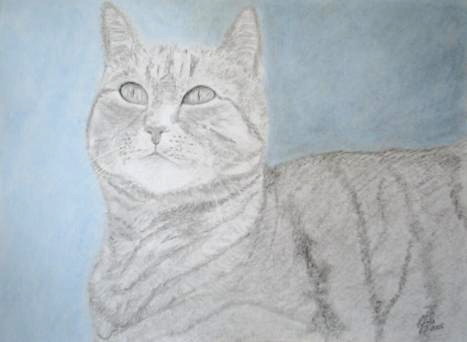 Cat 10