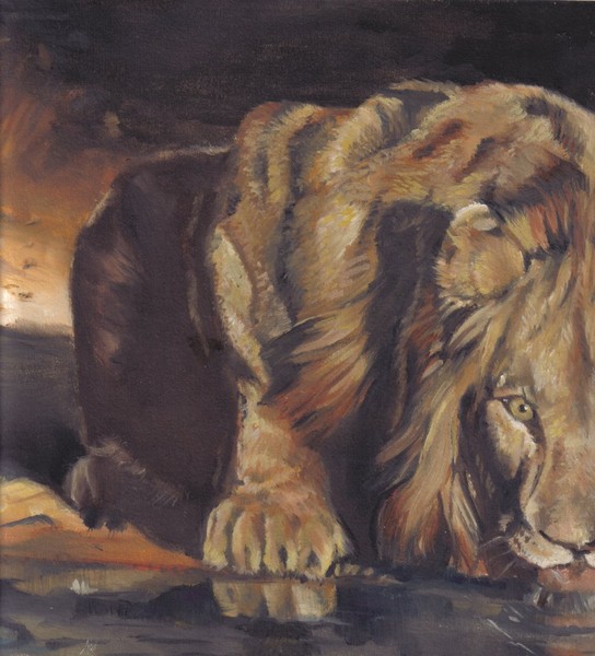 Lion Drinking