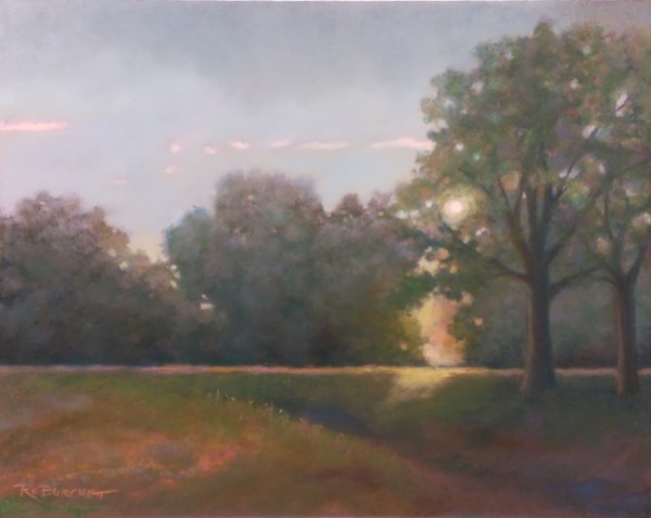 Morning Field