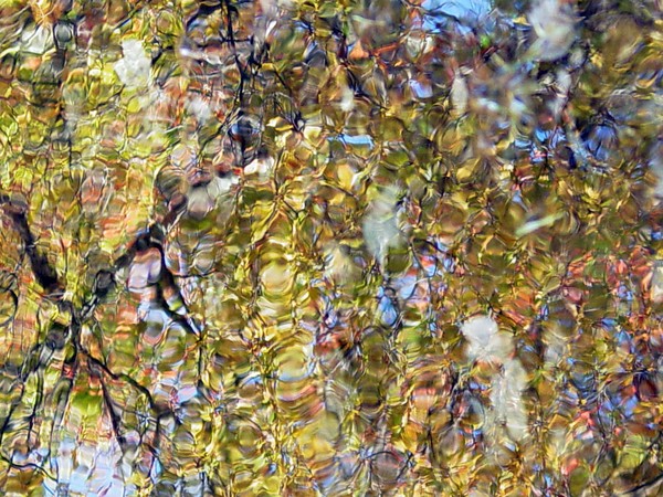 Reflections