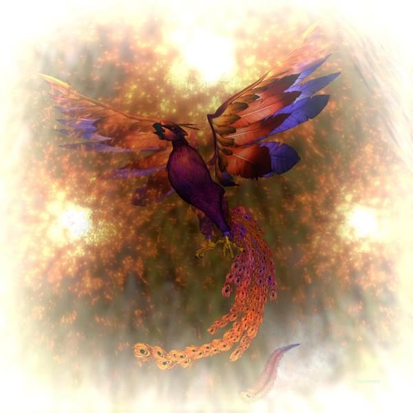 Tear of the Phoenix