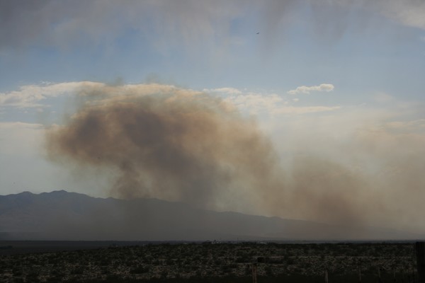 Smokey, The Bear
