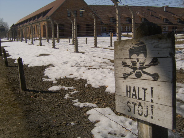 Auschwitz Halt