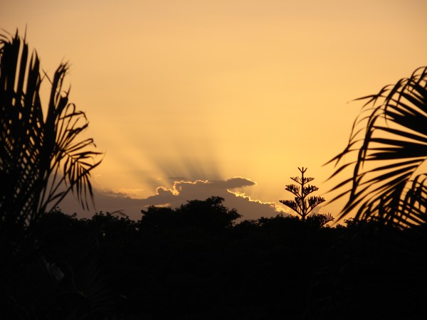 Tropical Sunset