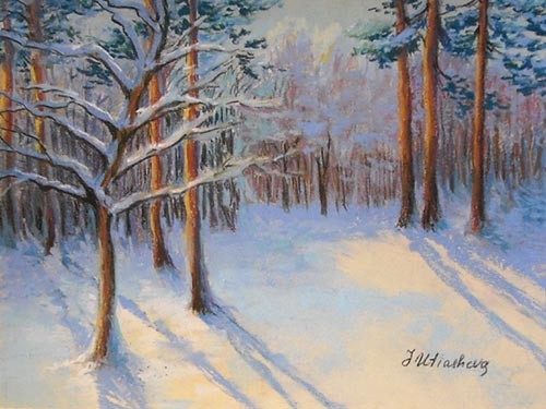 Forest in winter.