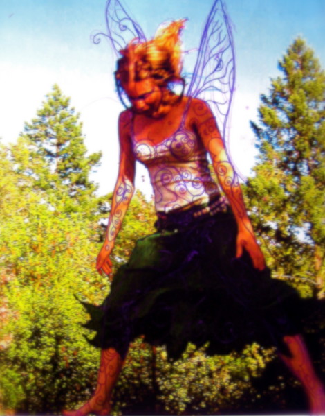 Honeybush Fairey