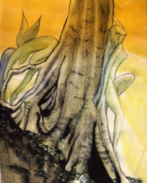 wood nymphs