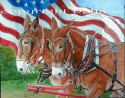 in their Glory