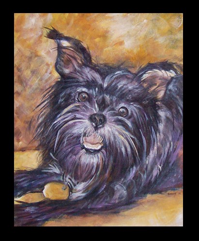 Affenpinscher