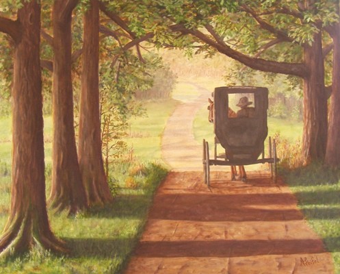 Amish Country Trails