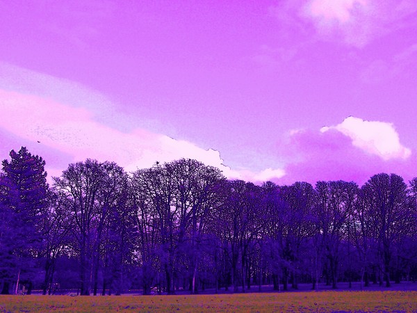 Purple pow!