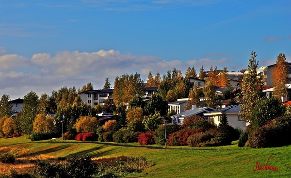 Autumn in my town !