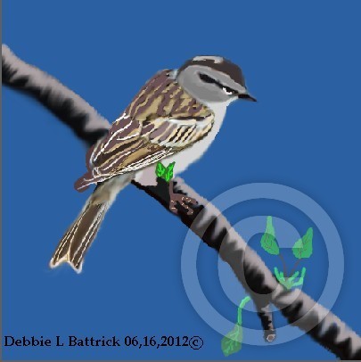 New Bird