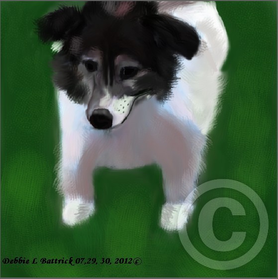 Cathy's dog