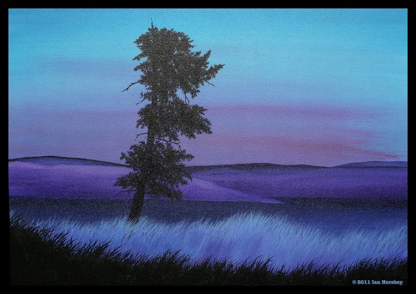 Evening Breeze