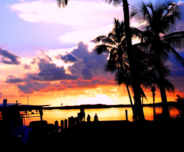 serenity
