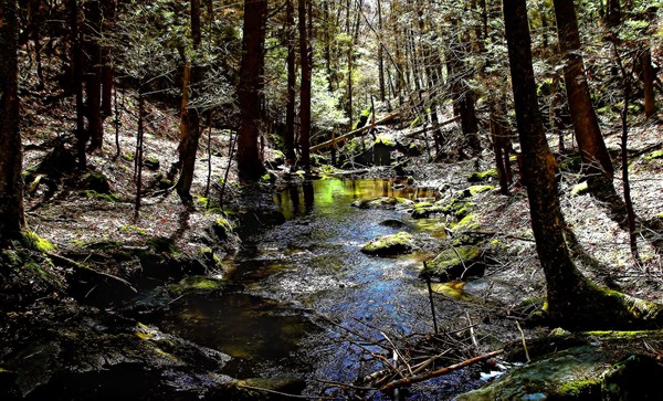 stream revisited