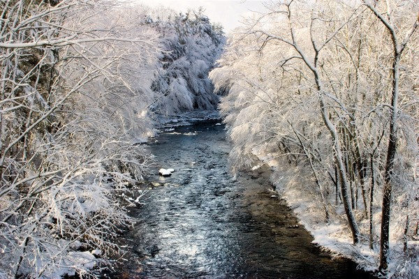winter ravine