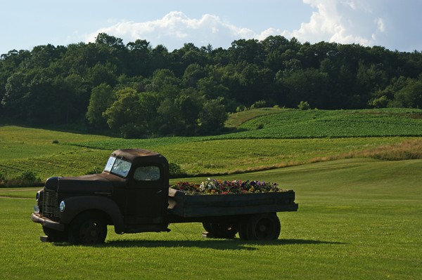 Wisconsin landscape