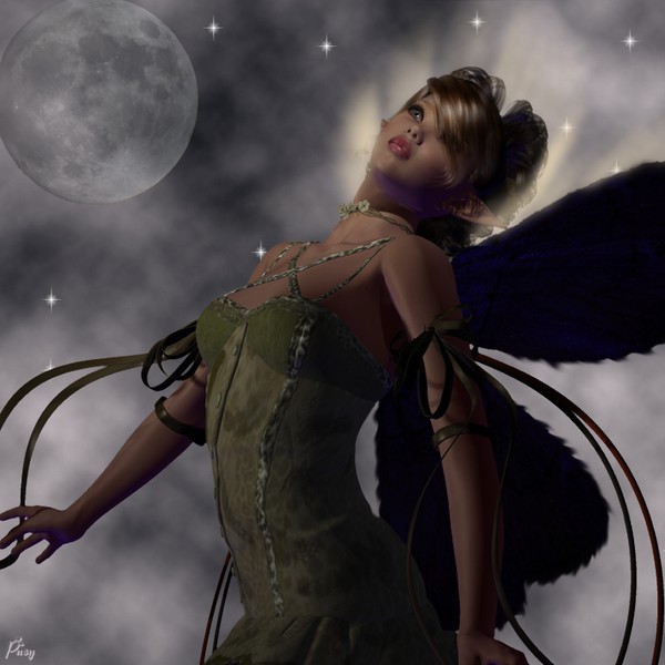 Moonlight Dream