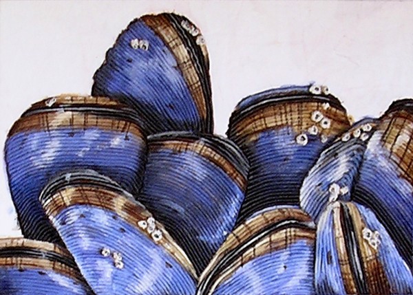 'mussels II'