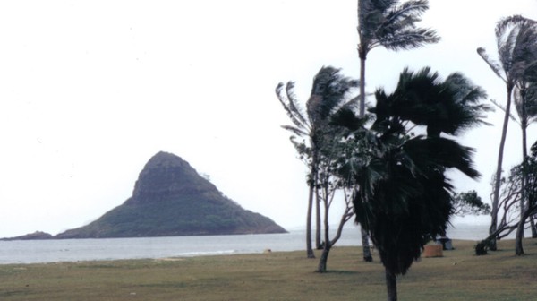 ChinaMan's Hat
