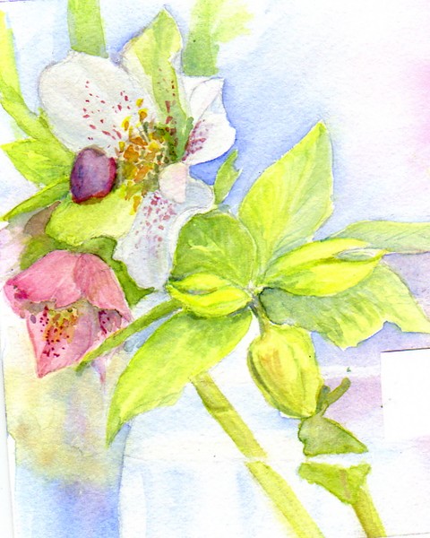 Flowers in a glass jug.