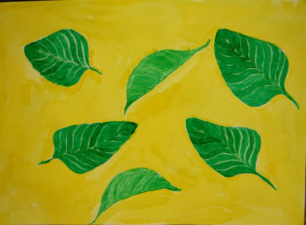 Leaves