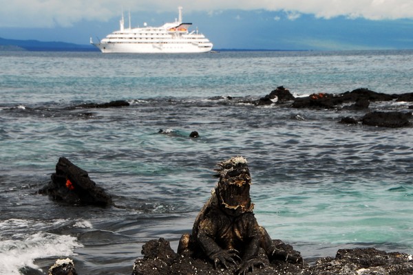 M/V Explorer II in Galapagos