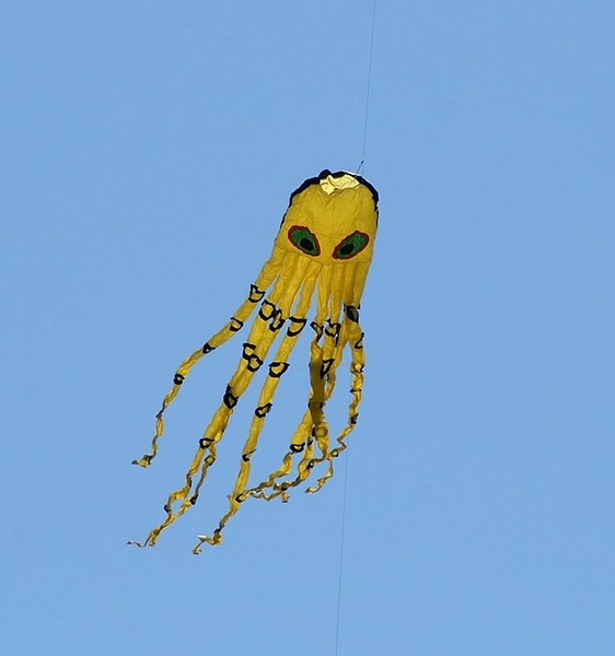 Another Kite
