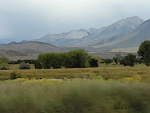 Arizona mountains