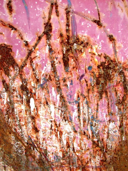 Pink Jungle