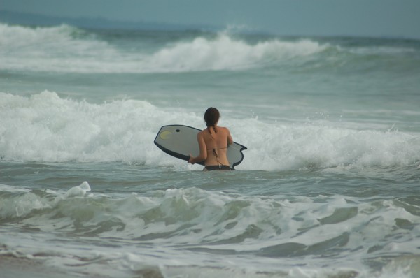 Surf