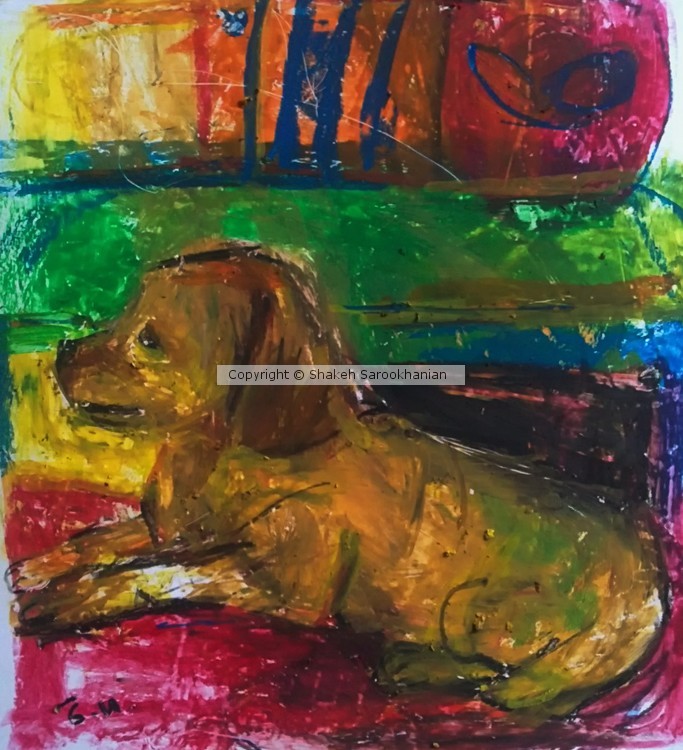 A dogs portrait