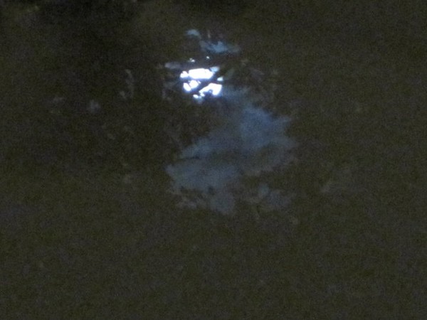 CRISTMAS MOON [2010]