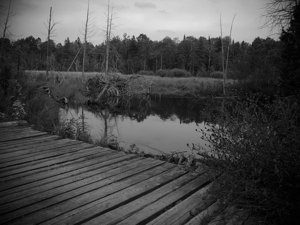 Wood Bridge