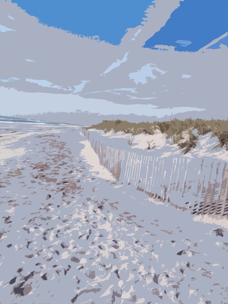 THE BEACH