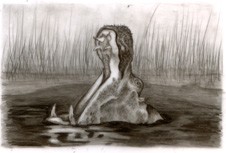 hippoAc