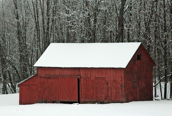 Red Barn #2