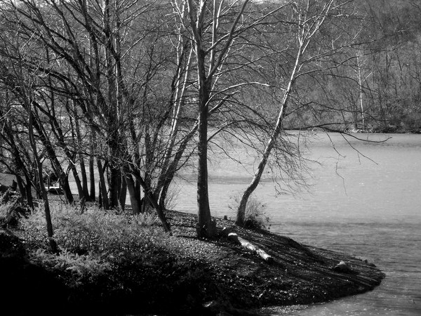 by the river b&w
