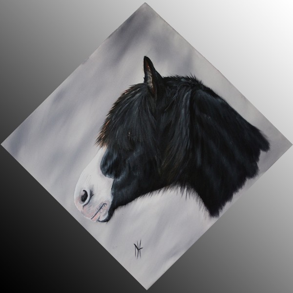 Rhadlon Portrait