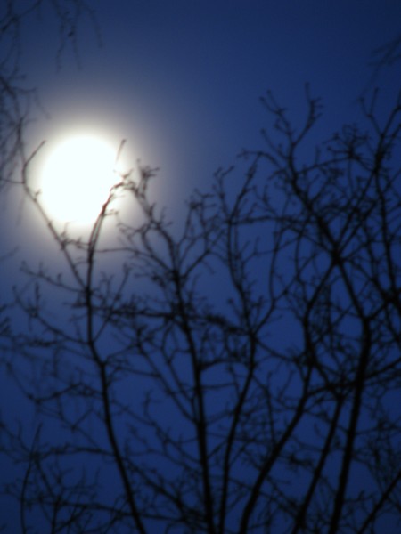 Full Moon Finland 2008